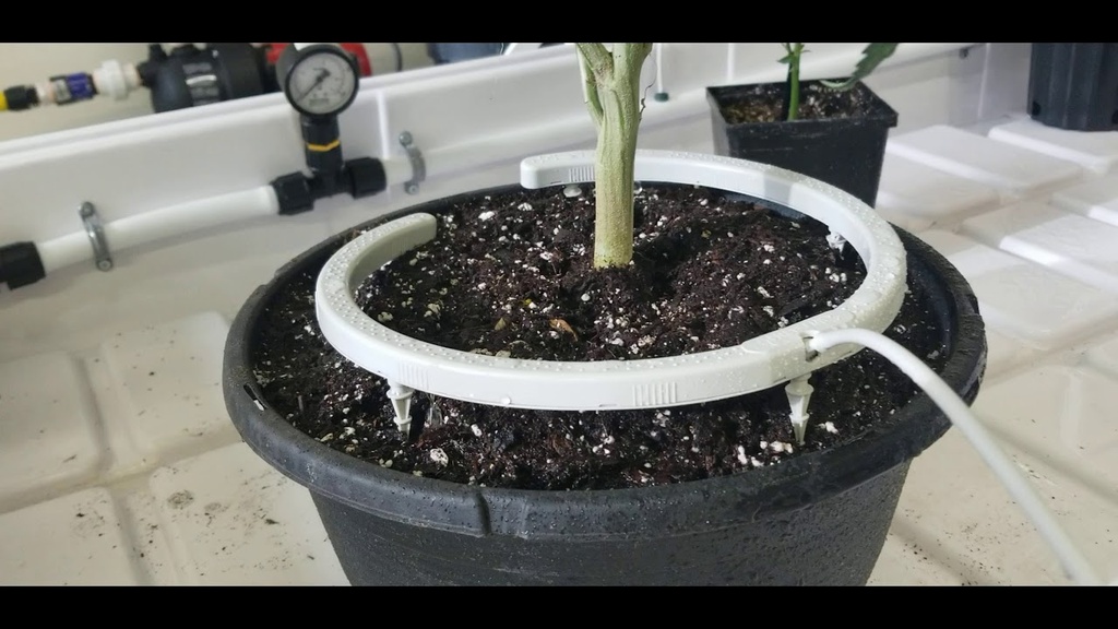 Netafim, Netbow 10" watering ring